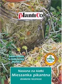 Nasiona i cebule - Plantico Nasiona na Kiełki Mieszanka pikantna - miniaturka - grafika 1