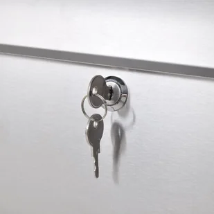 vidaXL Podwójna skrzynka na listy ze stali nierdzewnej na stojaku vidaXL - Skrzynki na listy - miniaturka - grafika 4