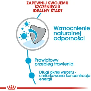 Royal Canin Maxi Puppy 15kg + 10x140g saszetka 9003579008447/0 - Mokra karma dla psów - miniaturka - grafika 5