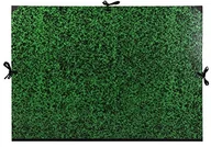 Teczki i skoroszyty - Clairefontaine Clairefontaine 33200C 33200C-Annonay teczka z 3 sznurkami, 67 x 94 cm, zielona, karton, 56 x 76 cm 33200C - miniaturka - grafika 1