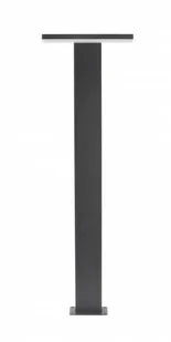 Su-Ma Fler LED lampa stojąca ogrodowa 1-punktowa 17602-780 DG) - Lampy ogrodowe Su-Ma Fler LED lampa stojąca ogrodowa 1-punktowa 17602-780 DG) - Lampy ogrodowe - miniaturka - grafika 2