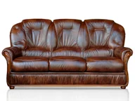 Sofy i kanapy - Vente-Unique Kanapa 3-osobowa 100% skóry bawolej DAPHNE - Kolor: czekoladowy - miniaturka - grafika 1