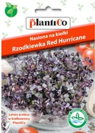 Nasiona i cebule - Plantico Nasiona na kiełki rzodkiewka czerwona - miniaturka - grafika 1