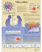 Pozostałe kosmetyki - 3B Scientific anatomiczne krojenia VR2725UU - miniaturka - grafika 1
