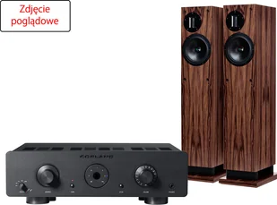 Copland CSA100 + Response D20R - Zestawy stereo - miniaturka - grafika 2