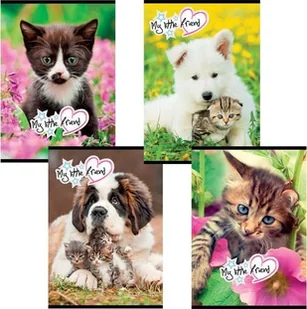 MAJEWSKI Zeszyt A5 32k linia podwójna dwukolorowa laminowany p15 My Little Friend - Zeszyty szkolne - miniaturka - grafika 2