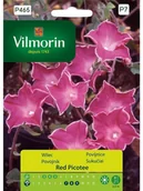 Nasiona i cebule - Vilmorin Wilec RED PICOTEE - miniaturka - grafika 1