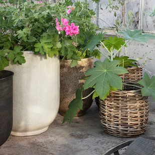 House Doctor Zestaw donic Pho Nougat 8720 - Donice - miniaturka - grafika 3