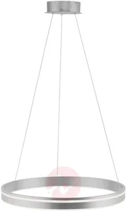 Paul Neuhaus Inteligentna lampa wisząca stal 59 cm z pilotem - Ronith - Systemy inteligentnych domów - miniaturka - grafika 3