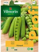 Nasiona i cebule - Vilmorin Groch PRIMAVIL - miniaturka - grafika 1