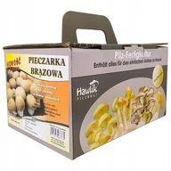Nasiona i cebule - Pieczarka Brązowa Grzybnia Gotowe Podłoże Hodowla - miniaturka - grafika 1