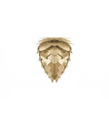 Lampy sufitowe - Vita Copenhagen Lampa Conia Mini szczotkowany mosiądz 02096 - miniaturka - grafika 1