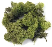 Nożyce kuchenne - Rayher Hobby Rayher porost 8503211 islandzki, SB-Btl. 100 G, h. Zielony 85-032-11 - miniaturka - grafika 1