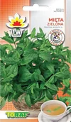 Nasiona i cebule - Toraf Mięta zielona kłosowa nasiona ziół 0,1g 00040 - miniaturka - grafika 1