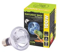 Akcesoria do terrarium - komodo Komodo Daylight 75W - żarówka grzewcza 3w1 Kom Neodymium 75W 82211 - miniaturka - grafika 1