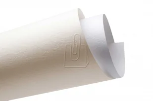 Galeria Papieru Papier ozdobny ARGO 230g. - skóra kremowa - Papier do drukarek - miniaturka - grafika 2