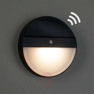 Paulmann Lampa Eloise PL94264 PL94264 - Lampy ścienne - miniaturka - grafika 2