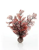 Dekoracje do akwarium - Oase OASE biorb Horn koralowy mały, Biały, mały, ciemnoczerwony - miniaturka - grafika 1