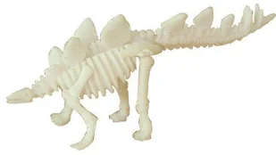 Geo Kids/Navir/DAM Bones&More, Duży szkielet dinozaura - wykopalisko odcisk łapy mokopico-1752-0 - Zabawki kreatywne - miniaturka - grafika 9