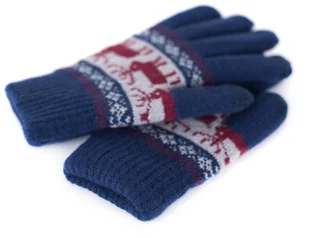 Art of Polo Rękawiczki męskie Sztokholm - Rękawiczki - miniaturka - grafika 5