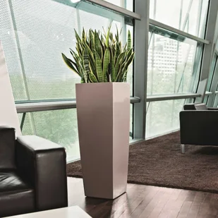 Lechuza Donica Cubico Alto 40 ALL-IN-ONE, taupe, wysoki połysk, 18234 - Donice - miniaturka - grafika 2