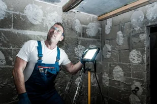 Brennenstuhl Naświetlacz led na statywie JARO 5050 T 1171250921 1171250921 - Lampy pozostałe - miniaturka - grafika 2