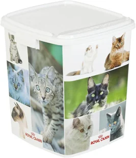 Royal Canin bytówka ROYAL CANIN Bengal 10kg + Wiadro na karmę 42l kot 237660 - Mokra karma dla kotów - miniaturka - grafika 2