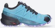 Buty trekkingowe damskie - Salomon Buty damskie Speedcross 5 Gore-Tex W 414616 414616 - miniaturka - grafika 1