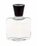 Wody po goleniu - Roberto Capucci Roberto Capucci Capucci Pour Homme woda po goleniu 100 ml dla mężczyzn - miniaturka - grafika 1