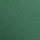 Papier do drukarek - Clairefontaine opakowanie, zielony (Tannengrün) 397279C - miniaturka - grafika 1