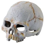 Dekoracje do terrarium - Exo Terra naczelnych czaszka, mały - miniaturka - grafika 1