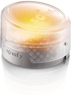 Somfy Napęd do bramy skrzydłowej Exavia Star 5m/500kg 24V ZESTAW 1240653 - Napędy i siłowniki do bram - miniaturka - grafika 5