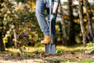 Cellfast Szpadel ostry IDEAL 40-202 40-202 - Łopaty i widły - miniaturka - grafika 2