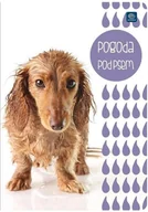 Zeszyty szkolne - Inter-druk Zeszyt A5/16K gładki (20szt) - miniaturka - grafika 1