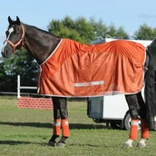 Derki dla konia - Bucas Derka Competition Cooler - Bucas - ochre Z639 - miniaturka - grafika 1