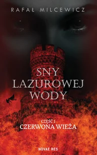 Sny lazurowej wody - Horror, fantastyka grozy - miniaturka - grafika 2