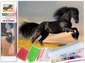 Zabawki kreatywne - Mozaika Diamentowa 5D Haft Malowanie Koń Czarny ** KUP Z DOSTAWĄ TEGO SAMEGO DNIA DO NAJWIĘKSZYCH MIAST ** 0000045790 - miniaturka - grafika 1