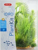 Dekoracje do akwarium - Zolux PLANTKIT IDRO N 3 352152 - miniaturka - grafika 1