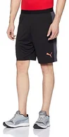 Piłka nożna - Puma męska evotrg Tech Shorts spodnie, czarny, xxl 655344 06 - miniaturka - grafika 1
