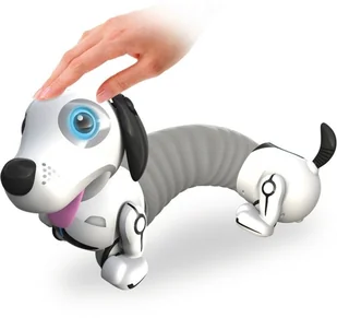 Robo Dackel Junior - Roboty dla dzieci - miniaturka - grafika 2