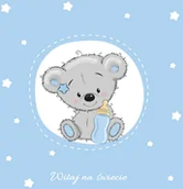 Albumy fotograficzne - NA zbiorowe Opracowanie Ksi$1316żka upominek. Witaj $1317wiecie - miniaturka - grafika 1