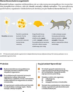 Wydawnictwo MAC Biologia. Podręcznik klasa 5 880797 - Podręczniki dla szkół podstawowych - miniaturka - grafika 8