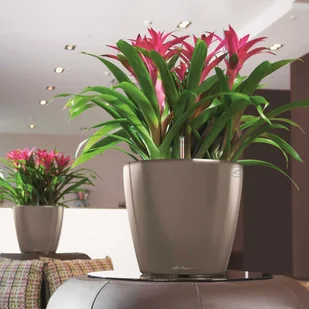 Lechuza Donica Classico 28 LS ALL-IN-ONE, szara, wysoki połysk, 16045 - Donice - miniaturka - grafika 4