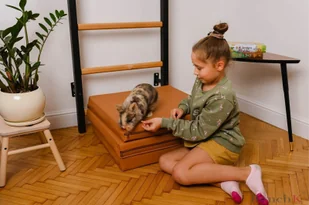 BenchK BenchK Materac gimnastyczny składany brązowy BenchK-33082-0 - Wyposażenie sportowe i gimnastyczne - miniaturka - grafika 5