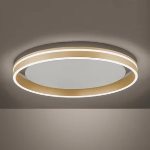 Paul Neuhaus Inteligentna lampa sufitowa mosiężna 59 cm z pilotem - Ronith - Systemy inteligentnych domów - miniaturka - grafika 4