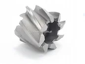 Frezy - FENES Frez nasadzany 8-ostrzowy 125 mm DIN 1880 N HSS-E - miniaturka - grafika 1