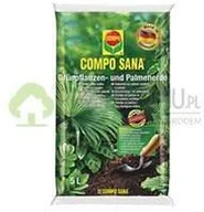 Ziemia ogrodowa - Compo Podłoże do roślin zielonych i palm 5l - miniaturka - grafika 1
