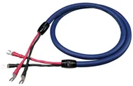 Kable - Cardas Audio Clear Speaker Kabel głośnikowy 3m - miniaturka - grafika 1