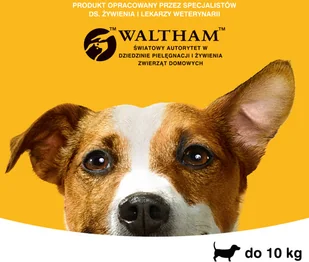 Pedigree DentaStix małe rasy) przysmak dentystyczny dla psów 7 szt 110g 25452-uniw - Suplementy i witaminy dla psów - miniaturka - grafika 4