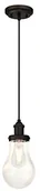 Lampy sufitowe - Westinghouse Lighting einflam mige lampa wisząca, wersja przezroczystego szkła kropli, szkło, 1 W, olejowana z brązu, 14 x 14 x 160 cm 6338340 - miniaturka - grafika 1